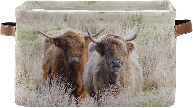 Highland Cows Storage Basket Cube Storage Bins Organizer Bag Collapsible Closet Shelf Baskets with handle for Baby Cloth Pet Toy Book 14.2×10.2×8.3 IN-BubblyBeeBaby