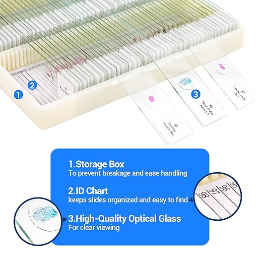 100 Prepared Microscope Slides with Specimens for Kids Adults - Bacterium, Fungus, Human Tissues, Mitosis, Plants, Insects, Animals Cells Samples for Biological Science Lab, School Students-BubblyBeeBaby