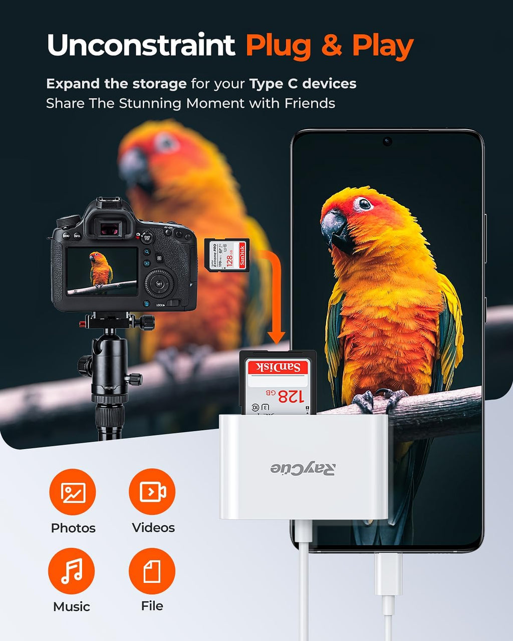 RayCue USB-C SD Card Reader - Type-C to SD/MicroSD Card Reader for iPhone 15/iPad/Mac/Laptop, iMac/iPad Pro/Air/Mini, MacBook Pro/Air, Galaxy