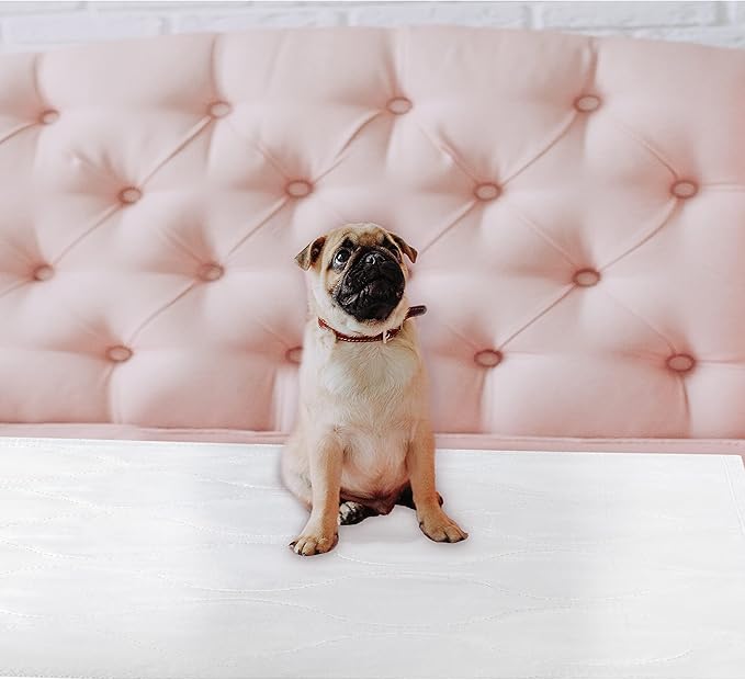 Inspire Super and Ultra Absorbent Reusable Bed Pads (23" X 36" Reusable 2 Pack)-BubblyBeeBaby