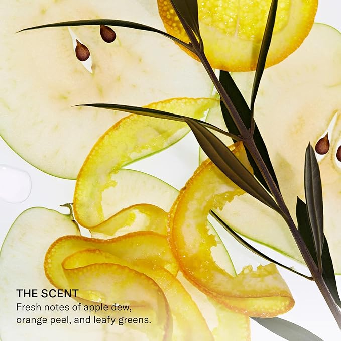 SEEN Shampoo - Scented - Non-Comedogenic & Sulfate-Free Hair Shampoo- Dermatologist-Developed - Safe for Sensitive & Acne Prone Skin-BubblyBeeBaby