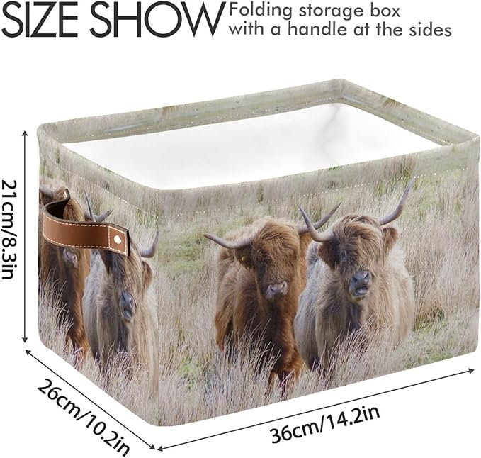 Highland Cows Storage Basket Cube Storage Bins Organizer Bag Collapsible Closet Shelf Baskets with handle for Baby Cloth Pet Toy Book 14.2×10.2×8.3 IN-BubblyBeeBaby