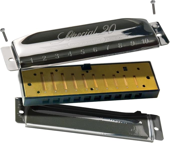 Hohner 560 Special 20 Harmonica - Key of B Bundle with Carrying Case, Key Stickers, Harmonica Beginner Online Manual, and Austin Bazaar Polishing Cloth-BubblyBeeBaby