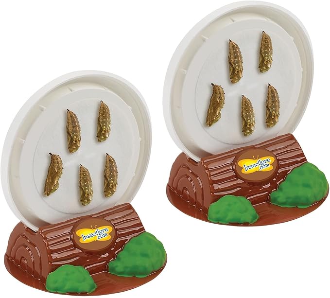 Insect Lore Two Cups of Live Caterpillars - 10 Live Painted Lady Caterpillars with Food - Includes Bonus Butterfly Life Cycle Figurines - Refill for Butterfly Garden Habitat-BubblyBeeBaby