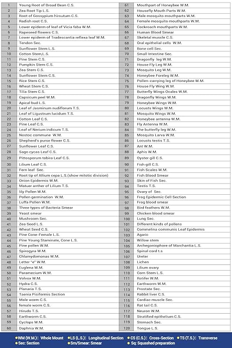 120 Microscope Slides with Specimens for Kids, Prepared Microscope Slides for Kids Microbiology, Prepared Microscope Slides for Adults-BubblyBeeBaby