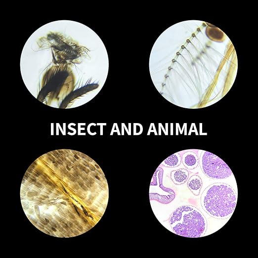 100Pcs Prepared Microscope Slides Set Professional Specimens for Kids Student Homeschool Use-BubblyBeeBaby