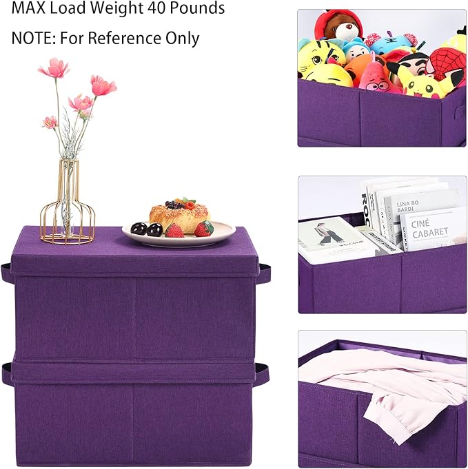 HOONEX Storage Bins with Lids for Organizing, Pack of 2, Storage Boxes with 2 Carry Handles and Sturdy Heavy Cardboard, 16.5" L x 11.8" W x 7.5" H for Shoes, Books, Clothes, Nursery, Dark Purple-BubblyBeeBaby