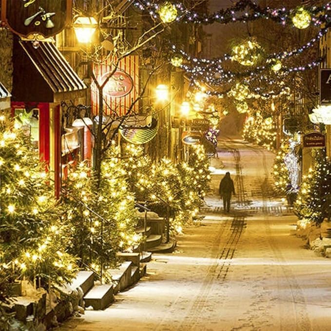 Home Lighting 66ft Christmas Decorative Mini Lights, 200 LED Green Wire Fairy Starry String Lights Plug in, 8 Lighting Modes, for Indoor Outdoor Xmas Tree Wedding Party Decoration (Warm White)-BubblyBeeBaby