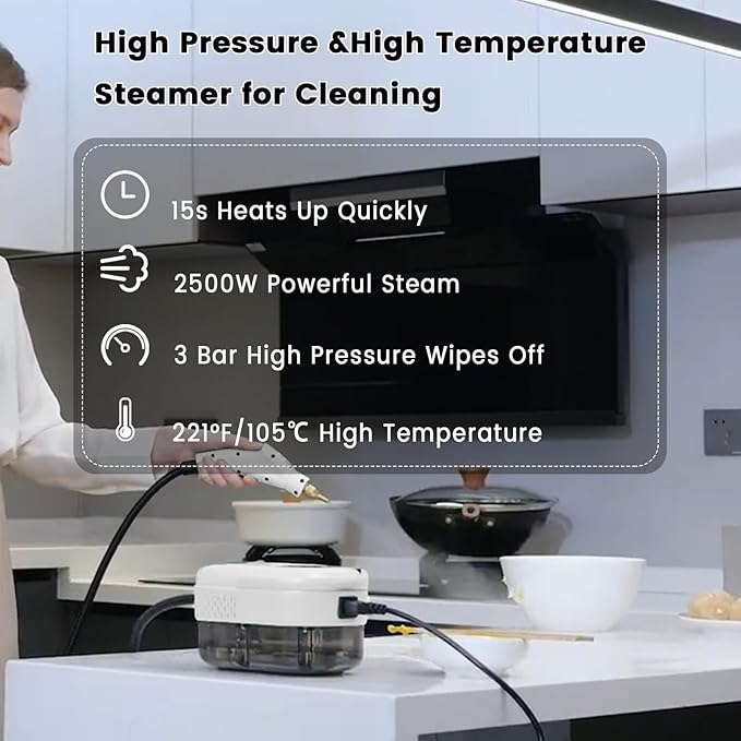 2500W Handheld Steam Cleaner,Portable Car Steamer For Auto Detailing,High-Temperature and Pressure Steam Cleaner For Home, Steam Cleaning Machine for Furniture,Kitchen,Grout,Floor,Tile (6-White)-BubblyBeeBaby