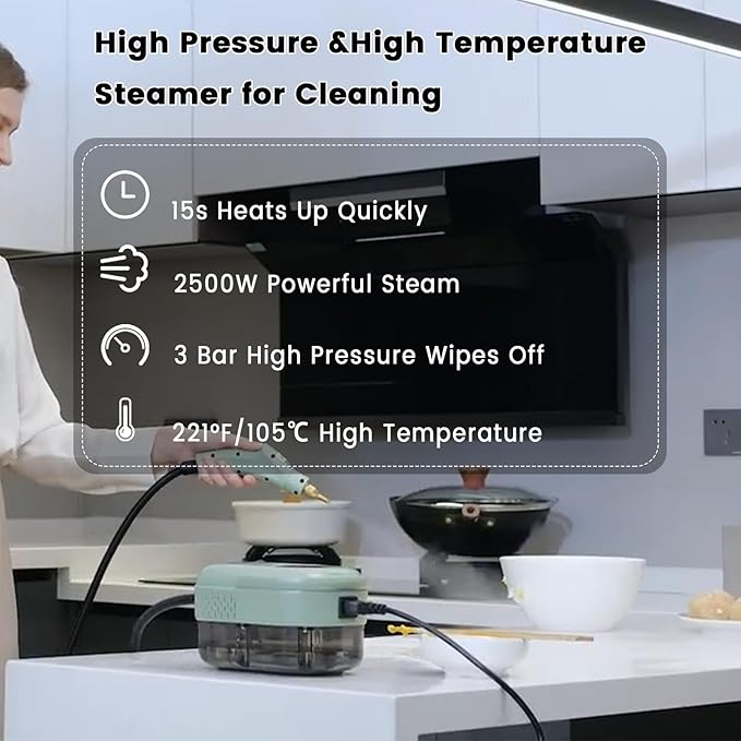 2500W Handheld Steam Cleaner,Portable Car Steamer For Auto Detailing,High-Temperature and Pressure Steam Cleaner For Home, Steam Cleaning Machine for Furniture,Kitchen,Grout,Floor,Tile (7-Green)-BubblyBeeBaby