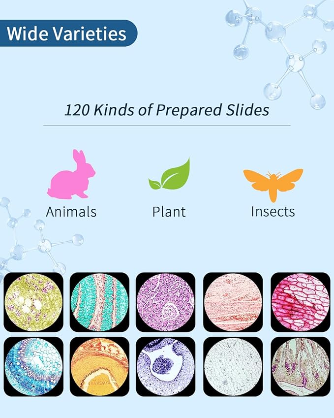 120-Pcs Microscope Slides with Specimens,Pre-Made Glass Slides with Specimens,Educational Microscope Slides and Covers for Young Scientists,Perfect for Biology Class and Experiments-BubblyBeeBaby