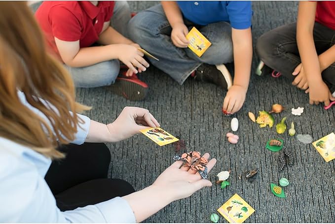 Insect Lore's Life Cycle Figurines 24 Pc Set | Butterfly, Ladybug, Frog, Honey Bee, Ant and Praying Mantis | 4 Stages Per Insect, 24 Figurines Total-BubblyBeeBaby