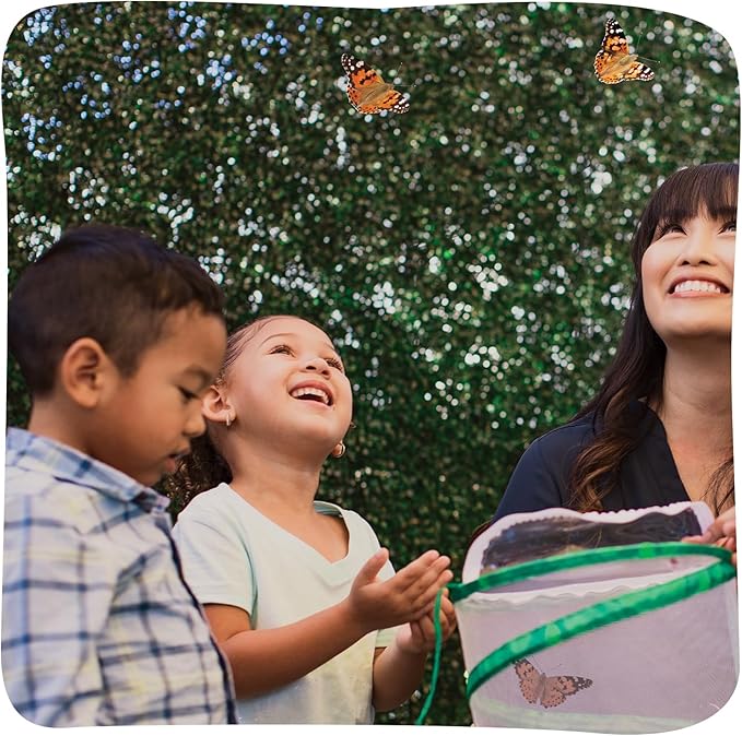 Insect Lore Raise and Release Butterfly Garden Kit – Caterpillar Habitat with redeemable Voucher – STEM-accredited Live Butterfly Growing Kit for Kids, Classrooms, and Homeschool Learning-BubblyBeeBaby