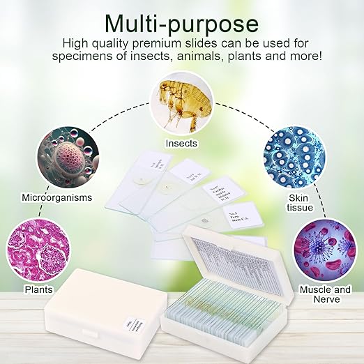 120 Microscope Slides with Specimens, Plant, Insect, Animal, Algae Slide Set for Biological Science Laboratory Basic Biological Science Education-BubblyBeeBaby