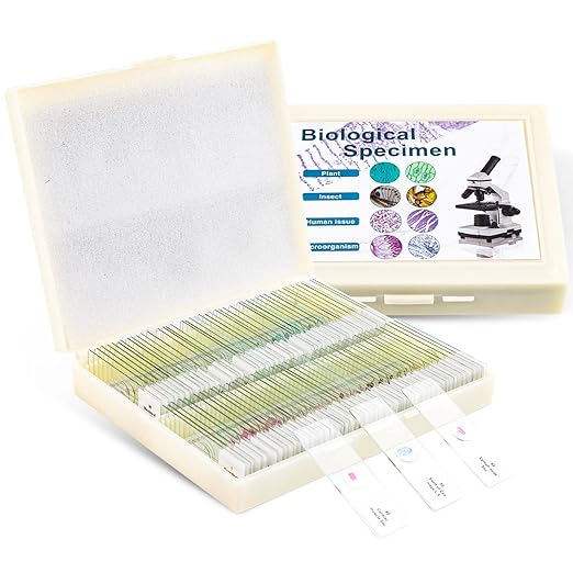 100 Prepared Microscope Slides with Specimens for Kids Adults - Bacterium, Fungus, Human Tissues, Mitosis, Plants, Insects, Animals Cells Samples for Biological Science Lab, School Students-BubblyBeeBaby