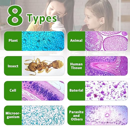 120 Microscope Slides with Specimens,Prepared Microscope Slides for Kids,Glass Slides for Microscope,Prepared Slides for Kids Microscope,Microscope Slide Preparation Kit for Biology Science Classes-BubblyBeeBaby