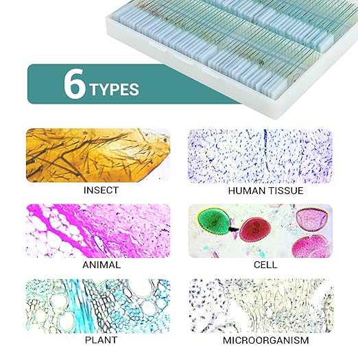 100 Microscope Slides with Specimens for Kids and Adults, Prepared Microscope Slides with Plants Animals Insects for Students Homeschool Edu-BubblyBeeBaby