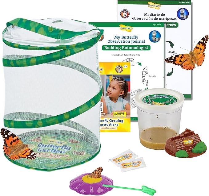 Insect Lore Butterfly Garden with Live Cup of Caterpillars | English and Spanish STEM Activity Journals | 5 Painted Lady Butterfly Baby Caterpillars and Mesh Habitat-BubblyBeeBaby