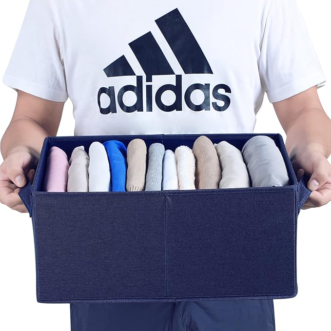 HOONEX Foldable Storage Bins with Lids, Pack of 2, Storage Boxes with 2 Carrying Handles and Heavy Cardboard, 16.5" L x 11.8" W x 7.5" H for Shoes, Clothes, Blue-BubblyBeeBaby