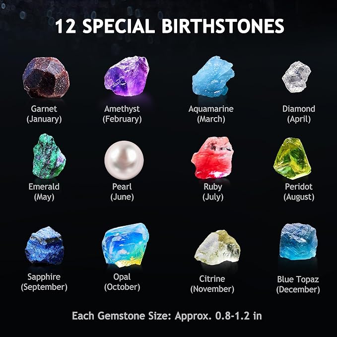 Japace Earth Science Kits for Kids Age 4-6-8-12-14, Birthstone Gemstone Dig Kit, Geology Kit with Break Your Own Geodes, Crystal Growing Experiment, Rock Mining Kit Birthday Gifts Toys for Boys Girls-BubblyBeeBaby