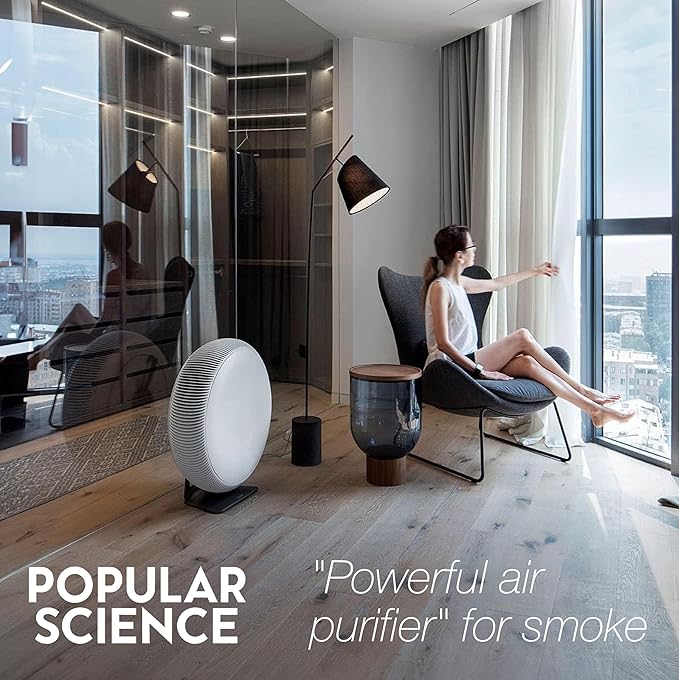 IQAir Atem X Smart Air Purifier for Large Room up to 1650 sq. ft., WiFi App Control, HyperHEPA Filters Wildfire Smoke, Viruses, Bacteria, Allergies, Asthma Triggers, Mold, Made in Germany-BubblyBeeBaby