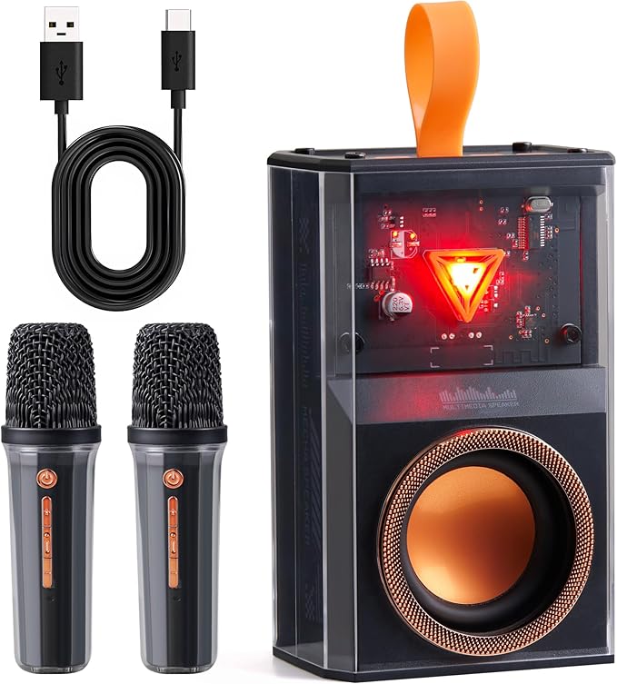 Karaoke Machine for Kids & Adults, Portable Bluetooth Mini Karaoke Speaker with 2 Wireless Microphone and Lights, Birthday Gifts for Girls & Boys, Toys for Girls, Family Home Party (Black)-BubblyBeeBaby