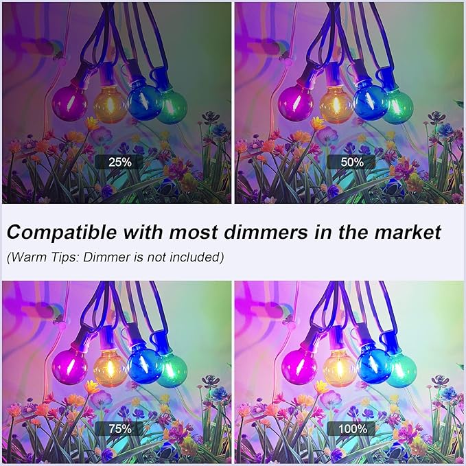 25Ft LED Outdoor String Lights, G40 Outdoor Christmas Decorations Lights Waterproof with 27 LED Globe Multicolor Bulb, Hanging Vintage Christmas Lights for Patio Roofline Backyard Garden Party Decor-BubblyBeeBaby