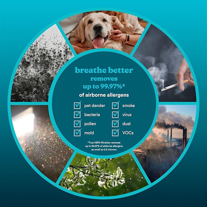 Homedics Smart Air Purifier 4-in-1 Tower for Large Rooms, Up To 1570 sq ft, True HEPA Filtration, UV-C Technology, Activated Carbon Odor Filter, Reduces Bacteria, Virus, VOCs, Wi-Fi and Voice Control-BubblyBeeBaby