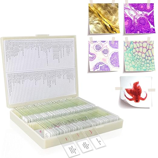 100Pcs Prepared Microscope Slides Set Professional Specimens for Kids Student Homeschool Use-BubblyBeeBaby