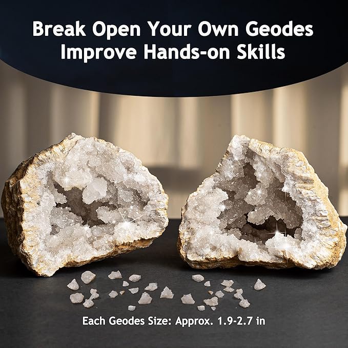 Japace Earth Science Kits for Kids Age 4-6-8-12-14, Birthstone Gemstone Dig Kit, Geology Kit with Break Your Own Geodes, Crystal Growing Experiment, Rock Mining Kit Birthday Gifts Toys for Boys Girls-BubblyBeeBaby