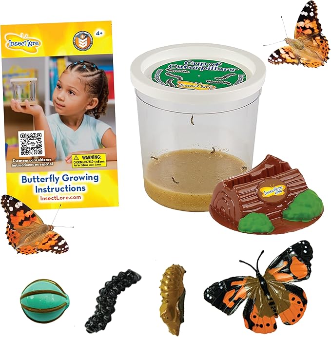 Insect Lore Cup Caterpillars - 5 Live Painted Lady Caterpillars with Food - Includes Figurines - Refill Kit for Butterfly Garden Habitat - STEM Science Activity for Kids and Classrooms-BubblyBeeBaby