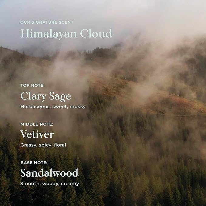 SHAZ & KIKS Ultra Hydrating Turmeric Shampoo | Sulfate-Free Shampoo for Dry, Itchy, Flaky Scalp | Deliver Deep Hydration with Turmeric & Kokum Butter, Travel Size-BubblyBeeBaby