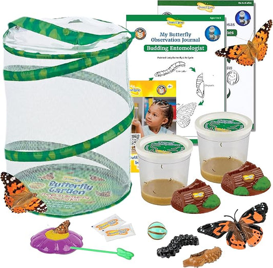 Insect Lore Butterfly Garden with Two Cups of Live Caterpillars, Life Cycle Figurines, English and Spanish Butterfly STEM Activity Journals | 10 Painted Lady Butterfly Baby Caterpillars-BubblyBeeBaby