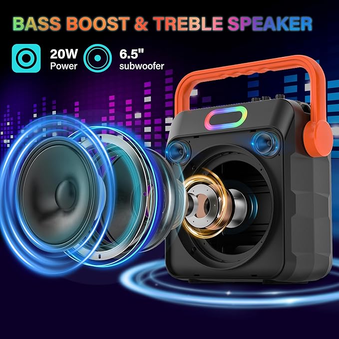 Karaoke Machine with 2 Wireless Microphones, Karaoke Machine for Adults & Kids, Portable Bluetooth Karaoke Speaker with Bass/Treble Adjustment, PA System, LED Lights, Supports TWS/USB/TF/REC/FM/AUX-BubblyBeeBaby