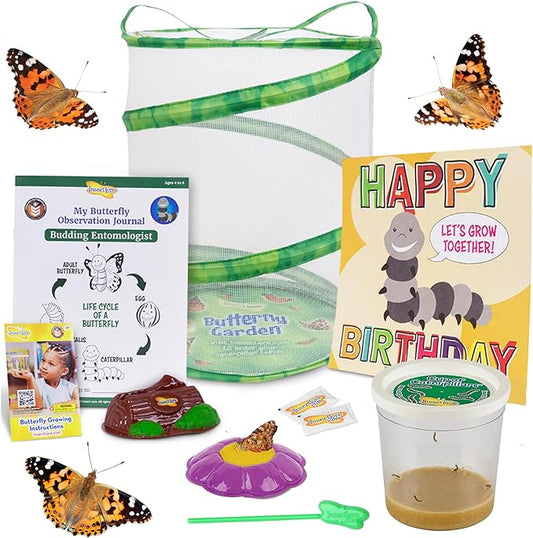 Insect Lore Butterfly Garden with Giant Birthday Card - 5 Live Baby Caterpillars, STEM Activity Journal, Habitat, Chrys-A-Lid Holder, Feeder - Raise and Release Painted Lady Butterflies-BubblyBeeBaby
