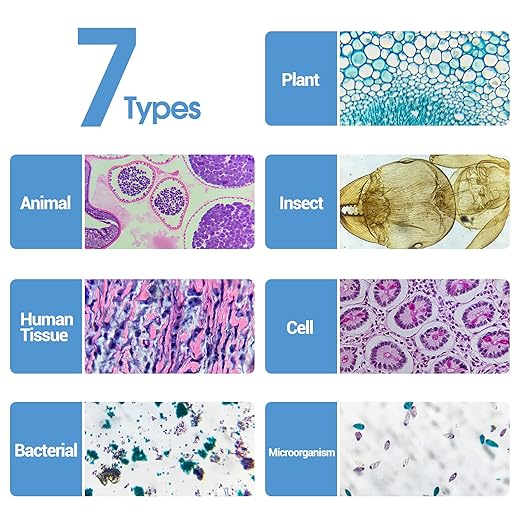 120 Microscope Slides with Specimens for Kids, Prepared Microscope Slides for Kids Microbiology, Prepared Microscope Slides for Adults-BubblyBeeBaby