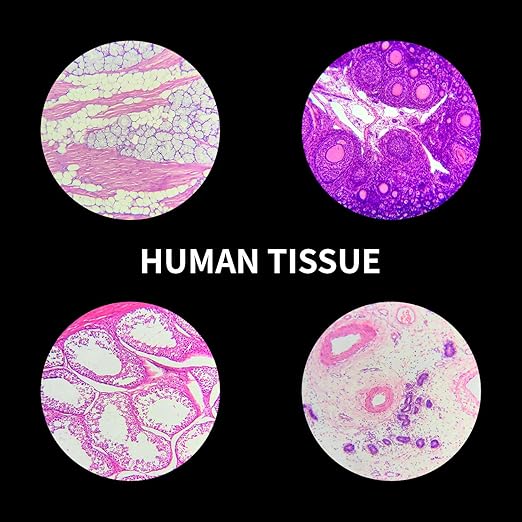 100Pcs Prepared Microscope Slides Set Professional Specimens for Kids Student Homeschool Use-BubblyBeeBaby