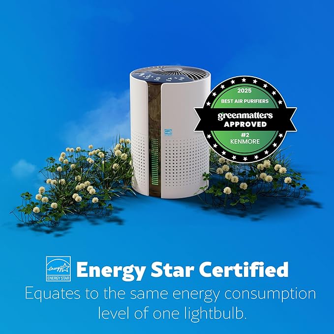 Kenmore PM1010 Air Purifiers for Bedroom Up to 348 Sq.Foot with H13 True HEPA Filter, Child Lock, Sleep Mode for Small Rooms-BubblyBeeBaby