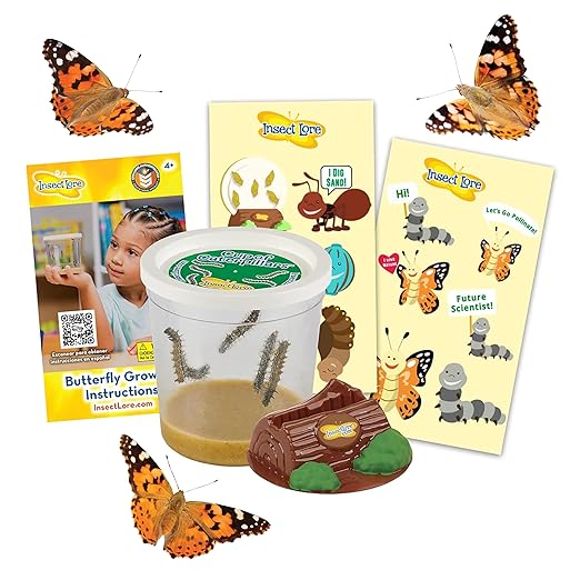 Insect Lore Cup of Caterpillars - 5 Live Painted Lady Caterpillars with Food - Refill for Butterfly Garden Kit - Stickers & Chrys-A-Lid Holding Log Included - STEM Learning Activity-BubblyBeeBaby