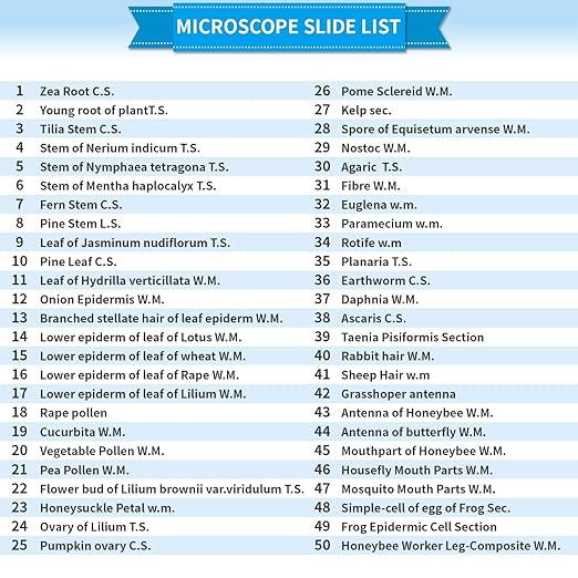 100Pcs Prepared Microscope Slides Set Professional Specimens for Kids Student Homeschool Use-BubblyBeeBaby