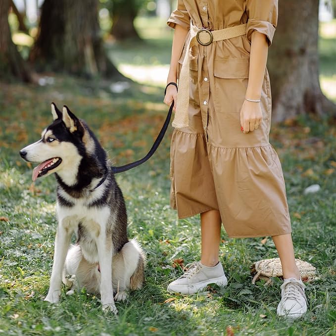 Baby Stroller Wheelchair Safety Wrist Strap or Large Dog Leash, Second Layer Security for Retractable Dog Leash, Black with Blue Stitching-BubblyBeeBaby