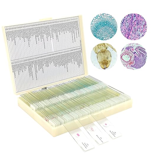 120 Microscope Slides with Specimens for Kids, Prepared Microscope Slides for Kids Microbiology, Prepared Microscope Slides for Adults-BubblyBeeBaby