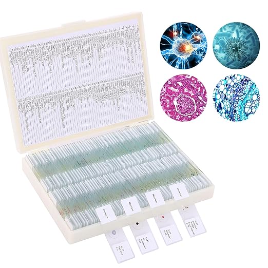 120 Microscope Slides with Specimens, Plant, Insect, Animal, Algae Slide Set for Biological Science Laboratory Basic Biological Science Education-BubblyBeeBaby