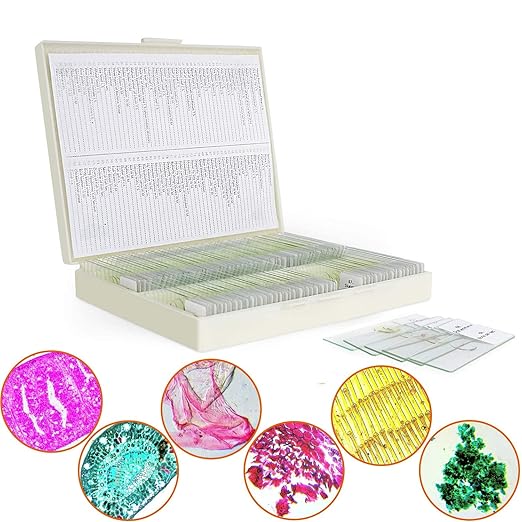 100 Microscope Slides with Specimens for Kids and Adults, Prepared Microscope Slides with Plants Animals Insects for Students Homeschool Edu-BubblyBeeBaby