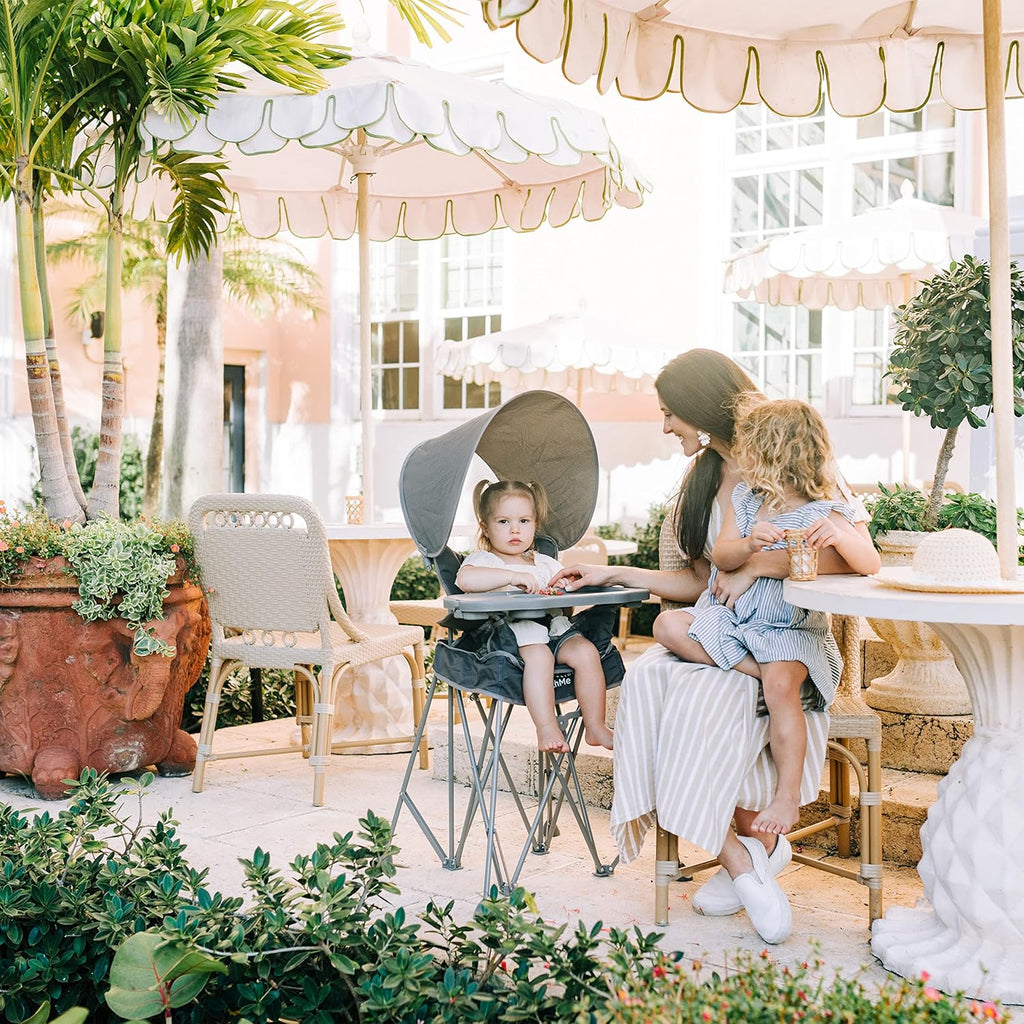 Baby Delight Go with Me Uplift Deluxe Portable High Chair | Sun Canopy | Indoor and Outdoor | Grey