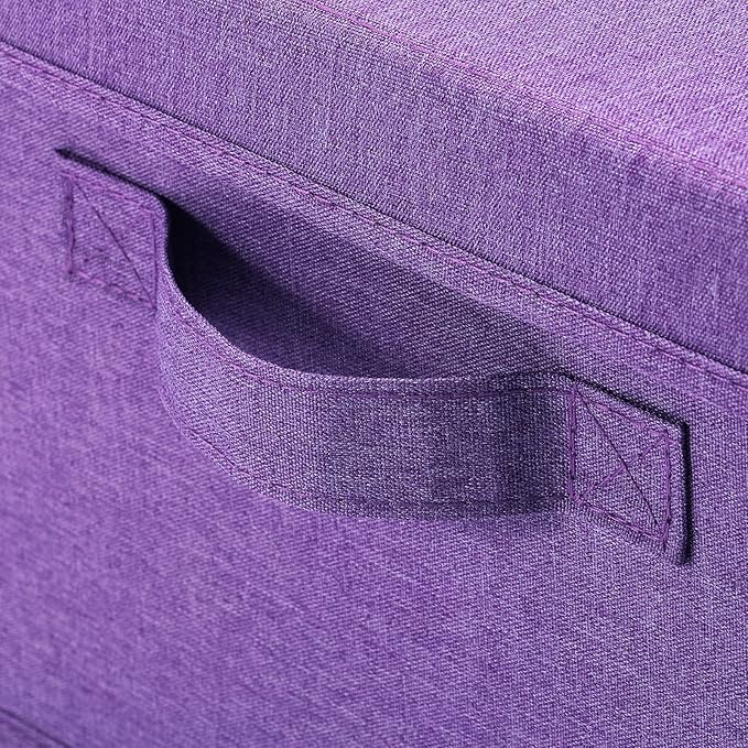 HOONEX Foldable Storage Bins with Lids, Pack of 2, Storage Boxes with 2 Carrying Handles and Sturdy Heavy Cardboard, 16.5" L x 11.8" W x 7.5" H for Shoes, Books, Clothes, Purple-BubblyBeeBaby
