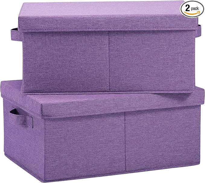 HOONEX Foldable Storage Bins with Lids, Pack of 2, Storage Boxes with 2 Carrying Handles and Sturdy Heavy Cardboard, 16.5" L x 11.8" W x 7.5" H for Shoes, Books, Clothes, Purple-BubblyBeeBaby